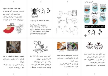Preview of Insect classes -Mini-book- in Darija