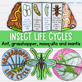 Insect life cycle foldable sequencing activities grasshopp