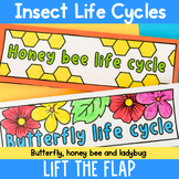 Insect life cycles lift the flap sequencing activity for b