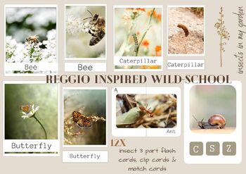 Preview of Insect morning basket - early learning | reggio inspired | nature inspired 