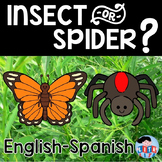 Insect or Spider Fold and Learn