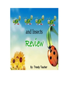 Preview of Insect review flipchart