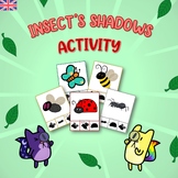 INSECTS Shadows Activity