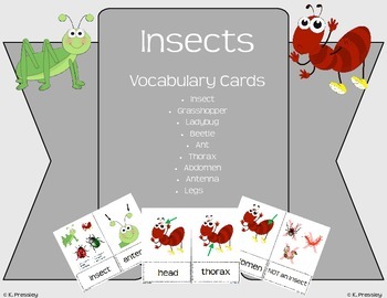 Preview of Insect vs. Not an Insect Vocabulary Cards