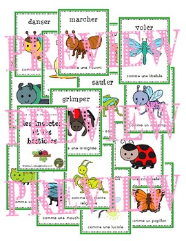 irregular tense narrow Insectes et Bestioles: les cartes de mouvement (Bugs: movement cards - DPA)