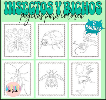 Preview of Insectos y Bichos Páginas Para Colorear | Bugs & insects Coloring Pages Spanish