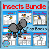 ESL Summer School Insects and Bugs Bundle of Flap Books