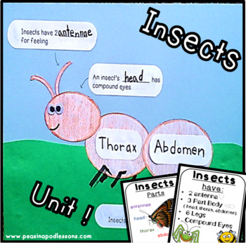 Insects Activities & Crafts for preschool, kindergarten, first grade