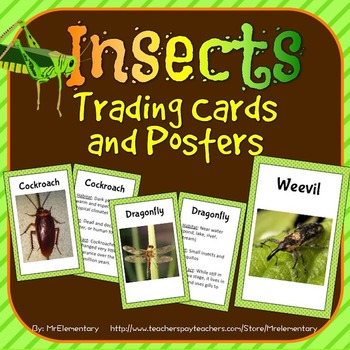 Preview of Insect Trading Cards and Word Wall Posters