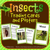 Insect Trading Cards and Word Wall Posters