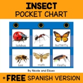 Insect Pocket Chart Center + FREE Spanish