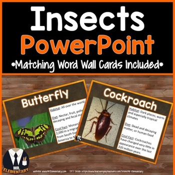 Preview of Insects PowerPoint and Posters