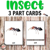 Insects 3 Part Cards for Spring Science Centers or Montess
