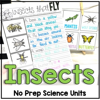 Insect Facts And Research By Kristen Sullins 
