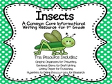 Insect Report - First Grade Informational Writing Activity