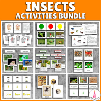 Preview of Insects Activities Montessori Bundle
