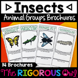 Insects | Animal Groups and Animal Classifications Brochures