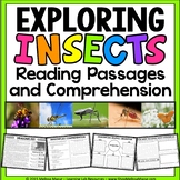 Insects - Animal Reading Passages and Comprehension Worksheets