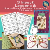 3 Insect Art Lessons & Step by Step How to Draw Insect Ref