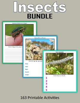 Preview of Insects BUNDLE