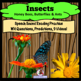 Insects Bees, Butterflies, Ants Facts, Videos & Auditory Recall