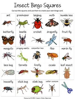 Insects Bingo Game by Jason's Online Classroom | TPT