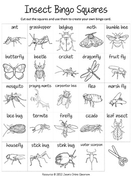 Insects Bingo Game by Jason's Online Classroom | TPT