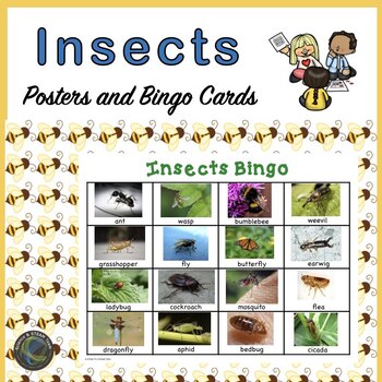 Preview of Animal Classification Insects Bingo, Posters, and More