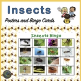 Animal Classification Insects Bingo, Posters, and More