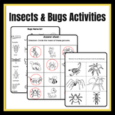 Insects Bugs Activity Worksheets: Math & Literacy for Pres