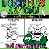 Insects Bugs Anatomy Coloring Printable Sheet for Pre-K,K,1st,2nd