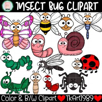Preview of Insects Bugs Butterfly Life Cycle Clip art
