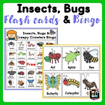 Preview of Insects Bugs & Creepy Crawlers Flashcards & Bingo Sheets 