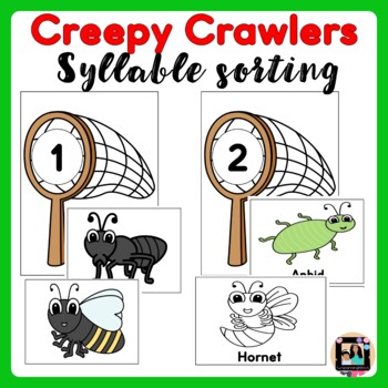 Preview of Insects Bugs & Creepy Crawlers Syllable Sort | End of the Year Review Activity