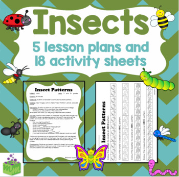Preview of Insects Bugs Math Lesson Plans and Activity Sheets *NO PREP