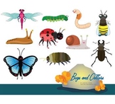 Insects, Bugs and Critters Clip Art Set