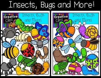 Preview of Insects, Bugs and More: Spring Clipart {Creative Clips Digital Clipart}