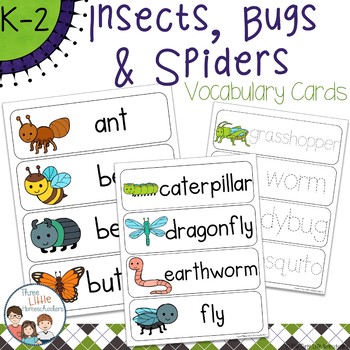Preview of Insects Bugs and Spiders Vocabulary Word Wall Cards plus Write & Wipe Version