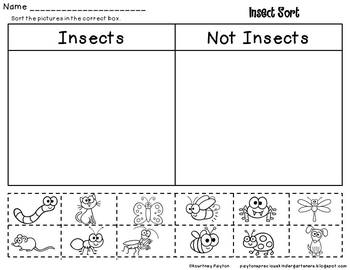 Insects Centers & Supplementary Activities by MrsPayton | TPT