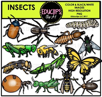 Preview of Insects Clip Art Bundle {Educlips Clipart}
