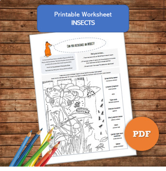 Preview of Insects Worksheet + Coloring Page | Natural Sciences Activity