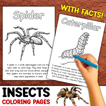 Preview of Insects Coloring Pages | With Facts and Descriptions | Bugs Coloring Pages