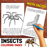 Insects Coloring Pages | With Facts and Descriptions | Bug