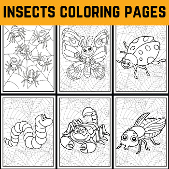 Insects Coloring Pages End of Year Activities Sheets: Explore the World ...