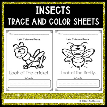 Insects Coloring and Tracing Worksheets USA #new #activity | TPT