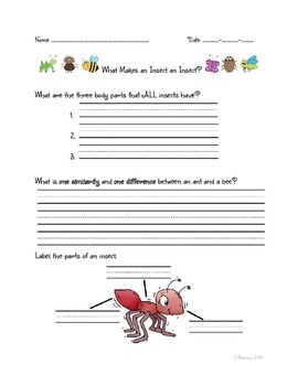 Preview of Insects Unit - Common Core NYS Domain 8