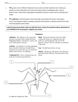 Common Core Insect Research