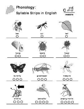 Insects - Curriculum‐Based Language Enrichment Worksheets & Activities