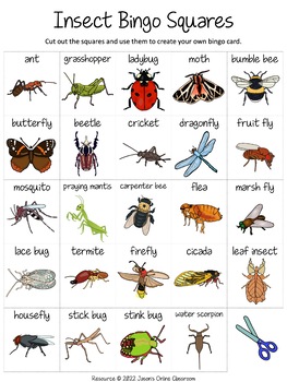 Insects Cut And Paste Bingo Game By Jason's Online Classroom 