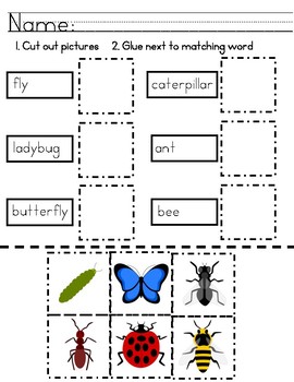 Insects-Cut and Paste worksheets by AUsome Elementary | TpT